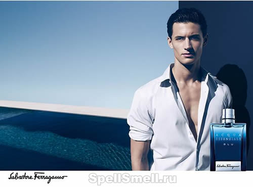 Salvatore Ferragamo Acqua Essenziale Blu — купить мужские духи ...